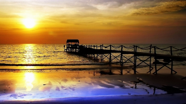 九游会集团：园林绿化枯树