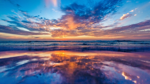 九游会集团：园林绿化用什么松树生长快