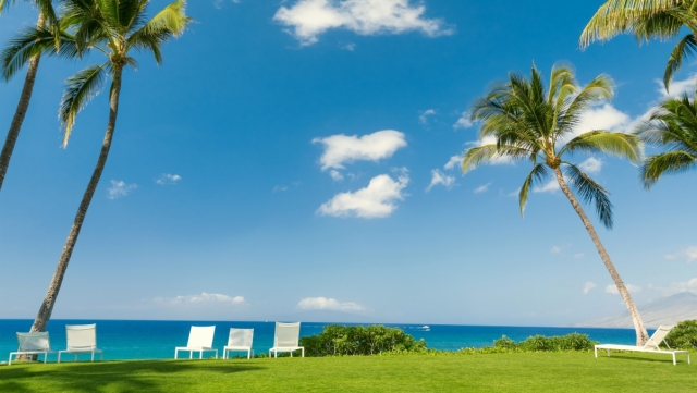 九游会J9：园林绿化养护达到效果