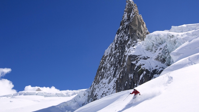 九游会国际：园林绿化花草种类