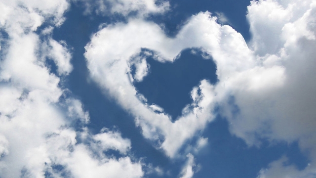 园林绿化树种及名称