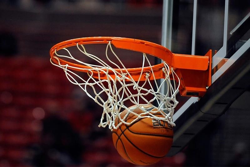 园林绿化防腐木塑木