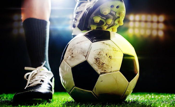 园林绿化用农药化肥么