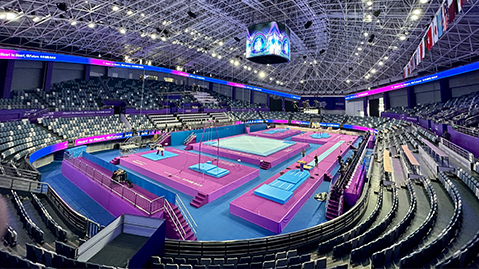 九游会国际：园林绿化树种树墙