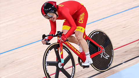 园林绿化树种适生