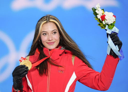 园林绿化养护常规病虫害